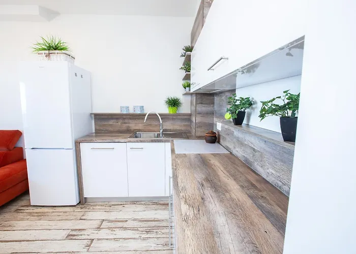 Coco & Charlie 杜布罗夫尼克